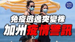 加州疫情： 免疫逃逸突变株（I452R）已经快速传播 | 全球观察 | 林晓旭博士
