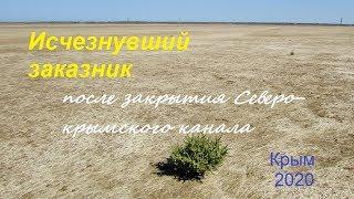 Крым без воды и умерший заказник. Астанинские плавни превратились в солончак