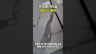 4세대 7인승 카니발 바닥 튜닝 시공