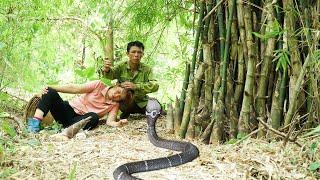 Harvesting Bamboo Shoots & Goes to Market Sell | Confront King COBRA Lurking in the Bamboo Forest!