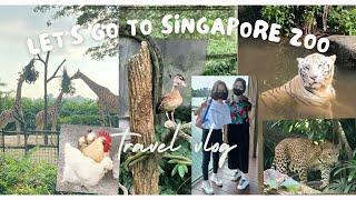 Singapore Zoo Vlog  (includes Animal shows & Elephant feeding)