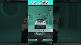 Best EV car to buy in India in 2024 | Tata Punch EV and Hyundai Ioniq