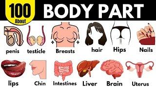 Body Parts in English | Human Body Parts Names | Learn Basic English Vocabulary ‍