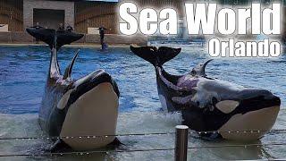 Our Adventures at Sea World Orlando