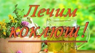 Лечение коклюша народными средствами