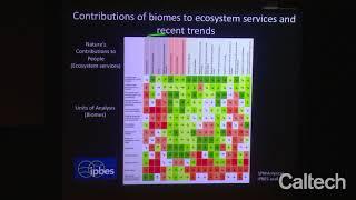 Biodiversity Science