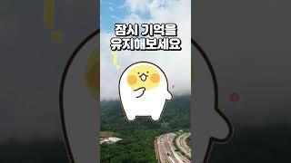 내가 치매라고?!  #치매테스트 #치매예방