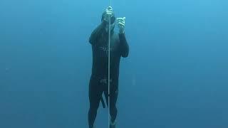 Freediving with Apnea Bali