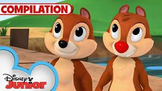 Adventures with Chip 'N Dale ️ | Nutty Tales | Shake Your Tail | 1 Hour Compilation |@disneyjr