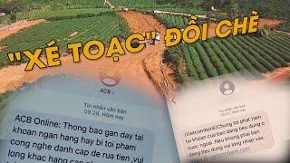 Chuyển động thị trường | “Xé toạc” vùng chè làm dự án BĐS chui; Giả tin nhắn thương hiệu để lừa đảo