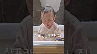 샴푸캡은 개나 줘