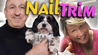 Free Online Seminar-HOW to TRIM an AGGRESSIVE  DOGS NAILS.