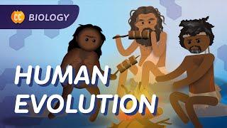 Human Evolution: We Didn't Evolve From Chimps: Crash Course Biology #19