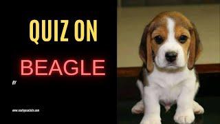 Quiz on Beagle