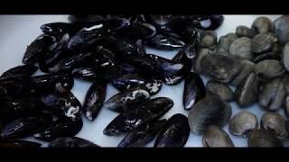 Sandys Fishmongers Ltd -  How to prepare oysters & mussels