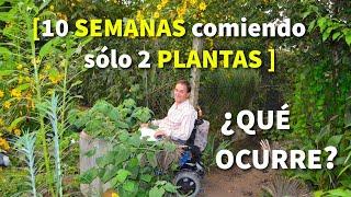 Un VERGEL con 600 variedades de PLANTAS