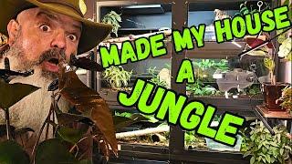 HUGE Change To My Snake Room
