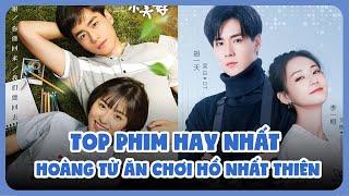 Top phim hay nhất của Hồ Nhất Thiên | Từ Giang Thần đình đám tới cái bóng của Gun thần | Ten Asia