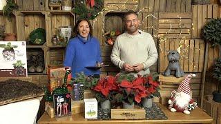 Christmas Bargains for Home and Garden