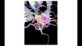 Black Canvas Funky Critters Part 1  Fluid Acrylic Poured Art #3849-11.30.18