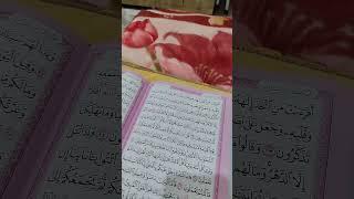 من سورة الجاثية