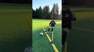 Training Video 2023/2024