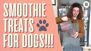 HOW TO MAKE HEALTHY SMOOTHIE TREATS FOR YOUR DOG | The BK Pets Dog Smoothie Treat Recipe