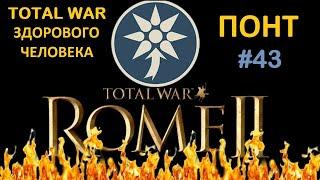 Rome 2: Total War здорового человека. Понт #43 Стрим