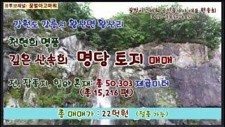 (급매) 강릉시 왕산면 왕산리 쳔연의 명당터 깊은산속 청정지역 15,216평 (협의가능)