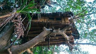 SLEEPING IN A TREEHOUSE (Sri Lanka)