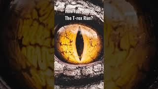 How fast Could the T-Rex Run?(part 2) #shortfacts #animalshorts