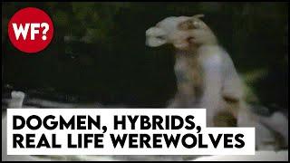 Dogmen, Hybrids, The Beast of Bray Road | True Stories of Werewolves