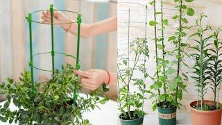 Tomato Plant Support Cage Review 2020 - Plant Support Cage