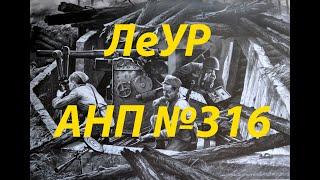 Летичевский укрепрайон, АНП №316. Привет из 30-х годов