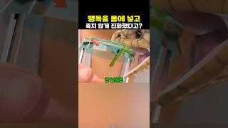 맹독을 몸에 넣고도  버틸 수 있게 진화했다고?