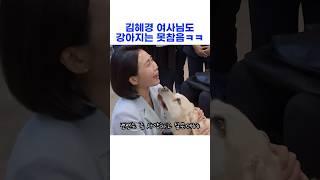 김혜경 여사님도 강아지는 못참음ㅋㅋ