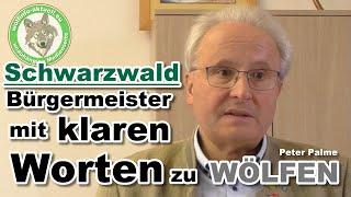 Wolfinfo Aktuell Interview:   Bürgermeister mit klaren Worten zu Wölfen.