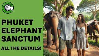 Green Elephant Sanctuary Park in Phuket! (The Scoop!)