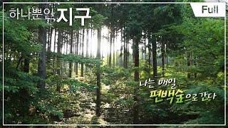 [Full] 하나뿐인 지구 - 나는 매일 편백숲으로 간다 20140620