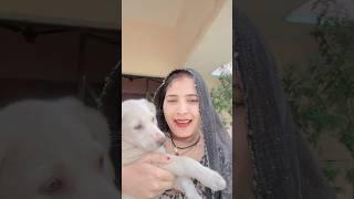 ￼ Tera Dil Jab koi Bhi Duhai tujhe Mera Pyar Yaad Aayega #khudaaurmuhabbat #tubaamir #tahsankhan
