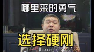 英伟达为何清空天猫旗舰店，哪里来的勇气选择硬刚