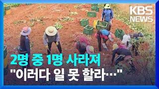 56% 무단 이탈…. 외국인 계절근로자 '공존' 방안 없나? / KBS  2022.07.28.