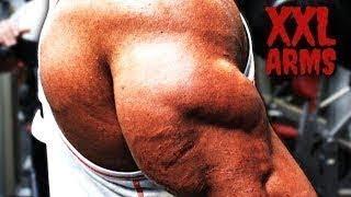 XXL ARMS - BUILD MASSIVE BICEPS AND TRICEPS - BODYBUILDING MOTIVATION
