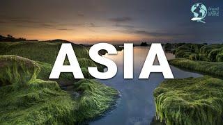 15 Best Countries to Visit in Asia - Travel Video