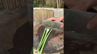 Poppy bud cutting process