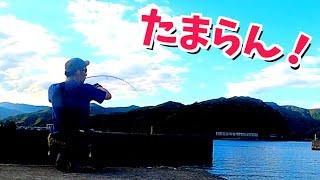 某県が異常なほど釣れてるらしいので行ってみたら