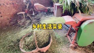 北漂小姐姐的乡村生活实录