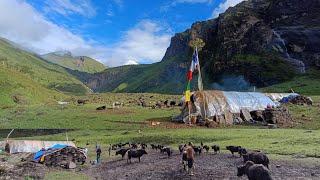 Beautiful mountains and lifestyle of yak herders dolpa in nepal ll