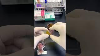 #science #biology #microscope #underamicroscope #project #shortsfeed #viral #food #shorts