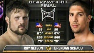 Roy Nelson vs Brendan Schaub TUF Season 10 Finale